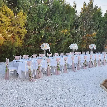 Mansion Ideal For 3 Families Or Willa *