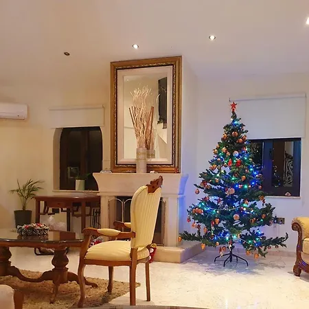 Mansion Ideal For 3 Families Or Βίλα
