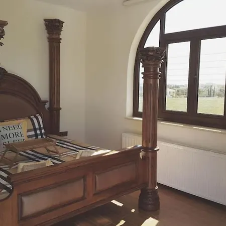 Mansion Ideal For 3 Families Or *