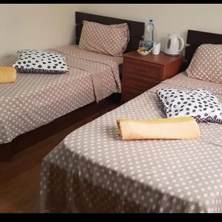 Mansion Ideal For 3 Families Or