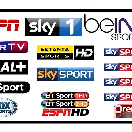 Mansion Ideal For 3 Families Or *