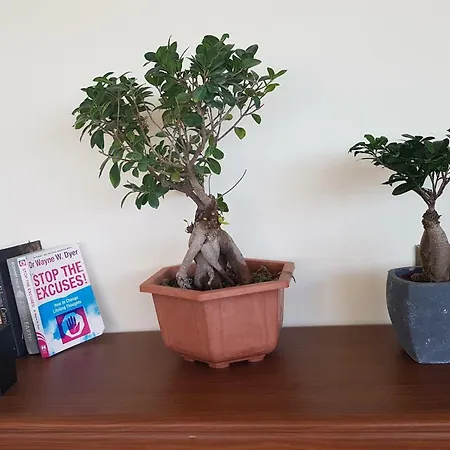 Mansion Ideal For 3 Families Or Villa Larnaca