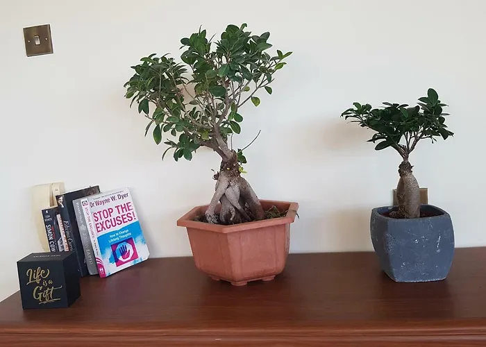 Mansion Ideal For 3 Families Or Βίλα Λάρνακα